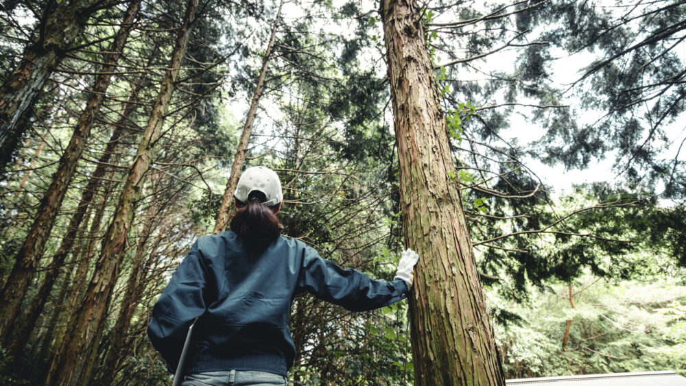 woman working with trees