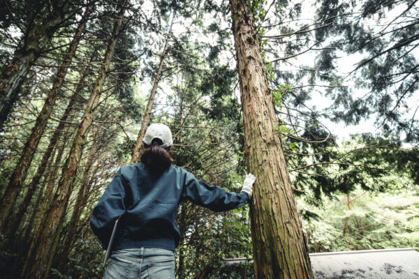 woman working with trees