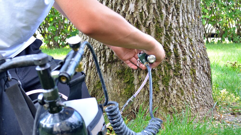 Nature, "Emerald Ash Borer Battle, Injections"