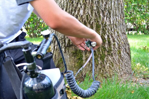 Nature, "Emerald Ash Borer Battle, Injections"