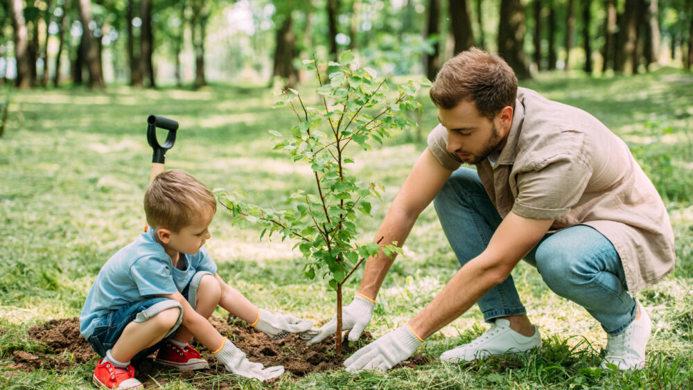 Father and son planting a tree