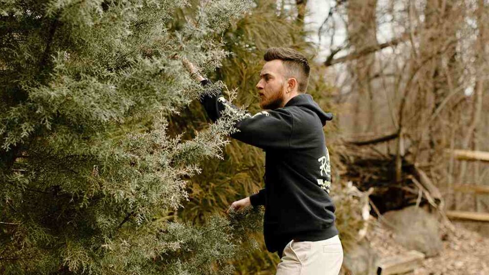 does cedar apple rust kill trees