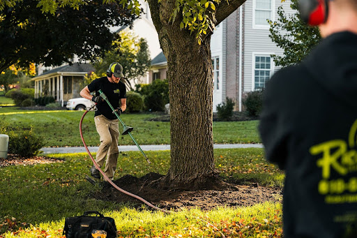 How to Improve Tree Health & Soil With AirSpade