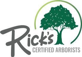 Rick's Certified Arborists 