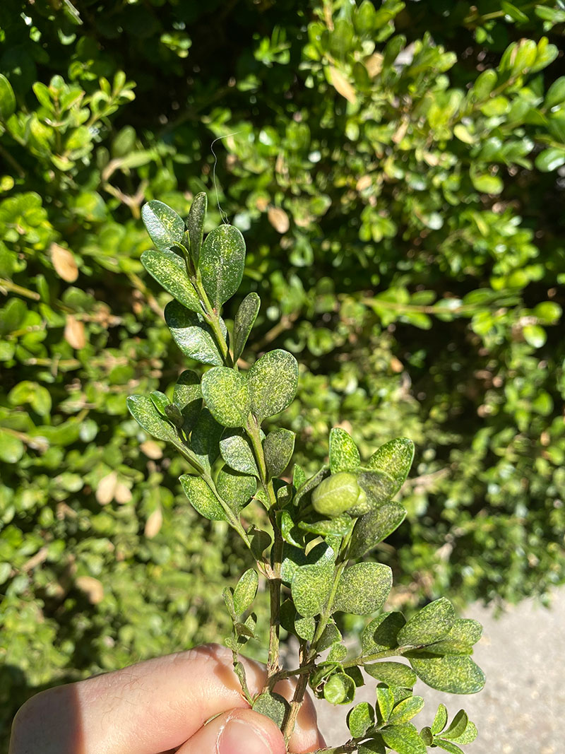 PQIAM0rrS0i_ubrsiaTi4w