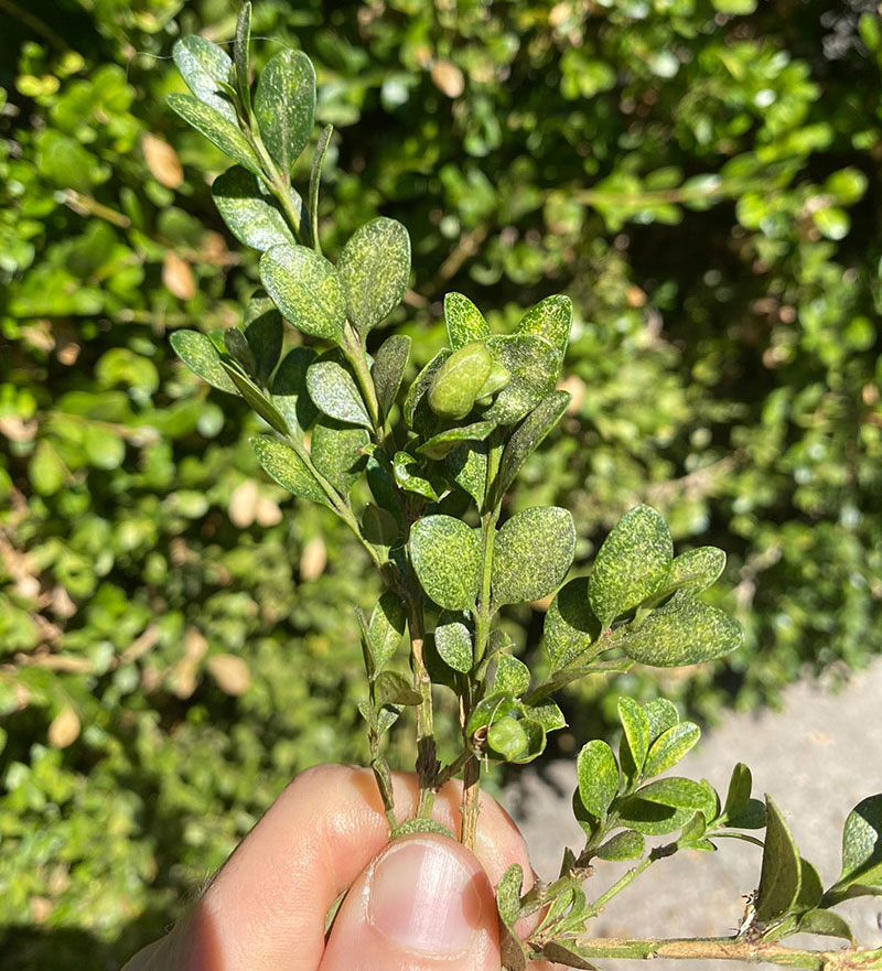 n+hZfOqKQjGrRNWH4IkF6Q