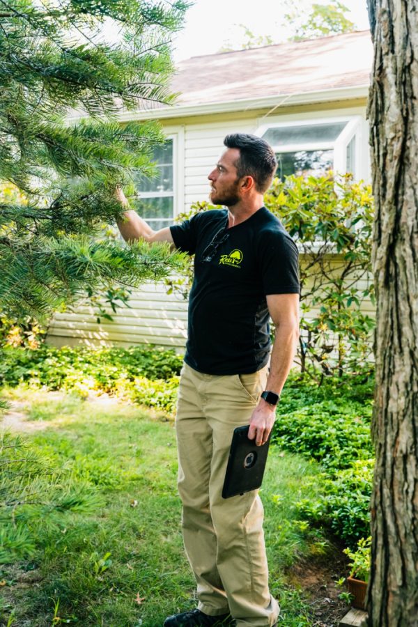 Certified Arborist Near Me
