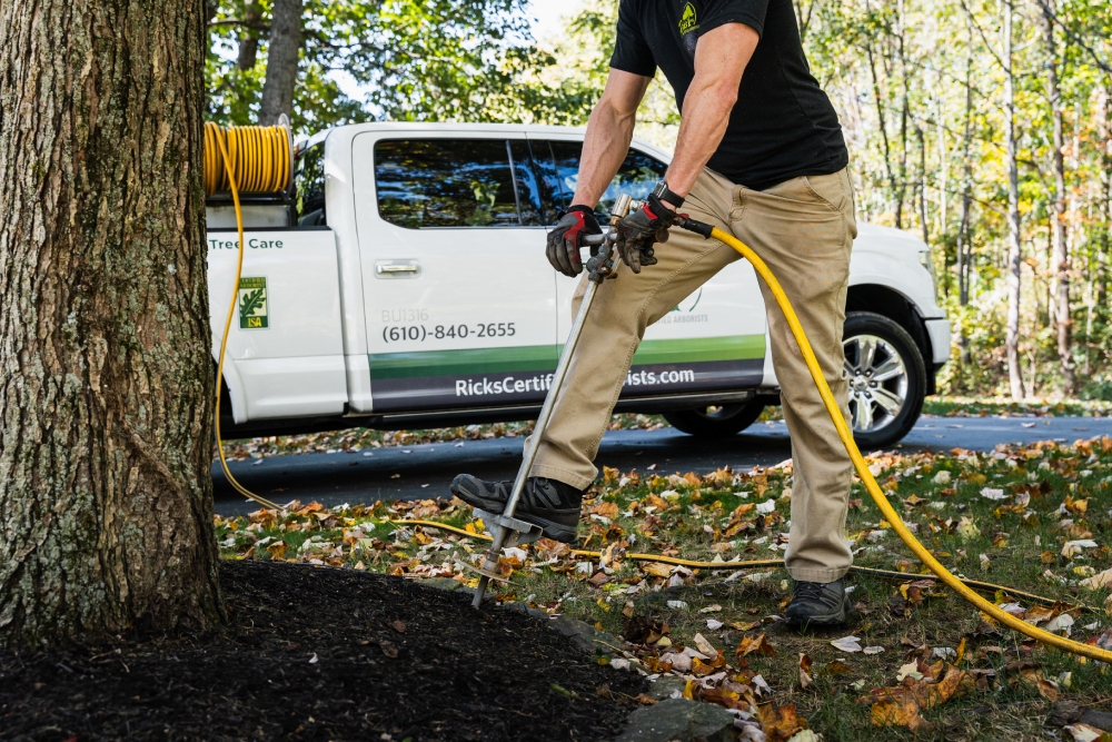 Deep Root Fertilization