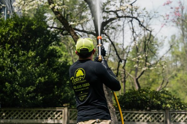 Fruit Tree Spraying Service Fruit Tree Spraying Service