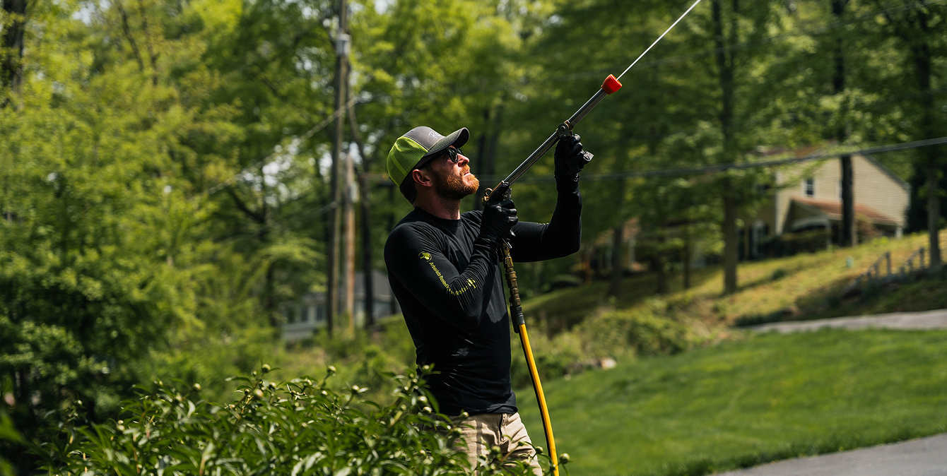 ISA Certified Arborist
