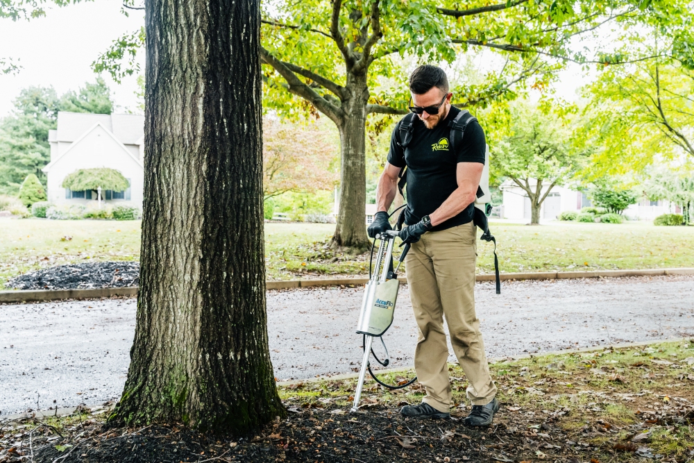 Tree Care Arborist