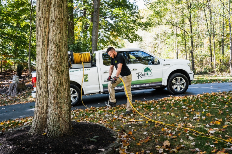Tree Fertilizing Service