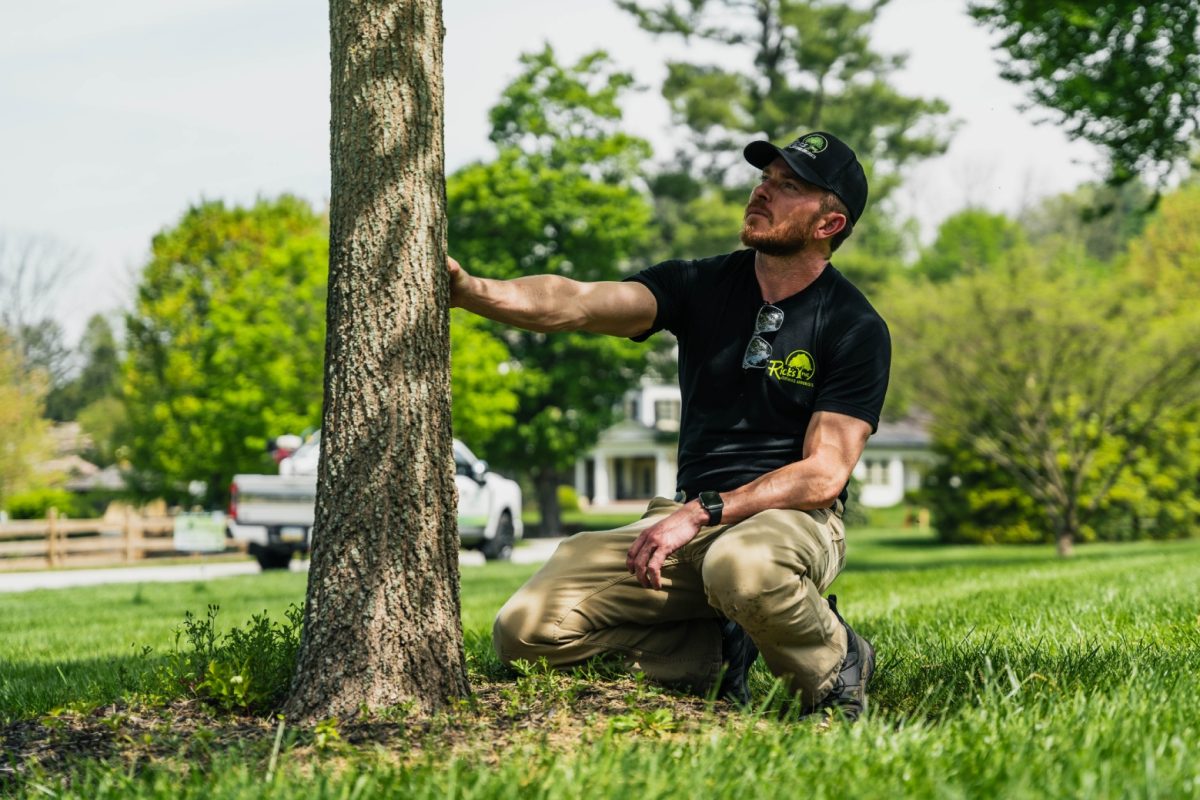 Tree Health Services