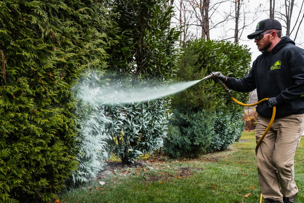 Tree Spraying Service Tree Spraying Service