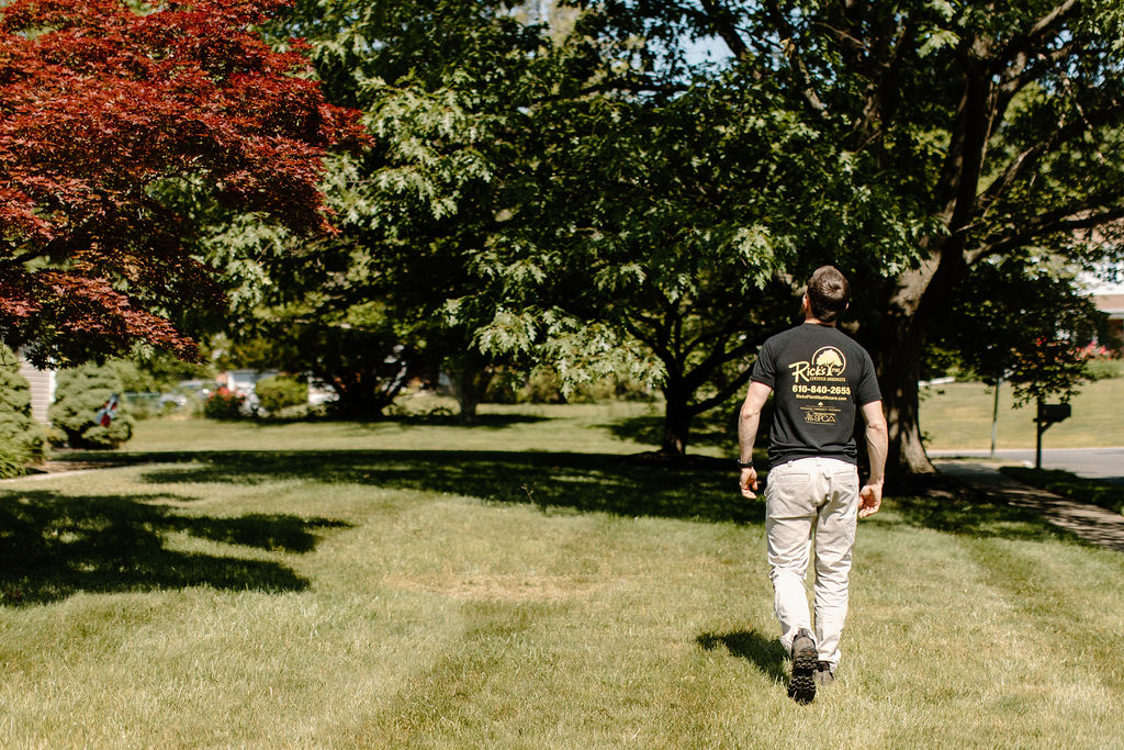 Arborist Chester County PA