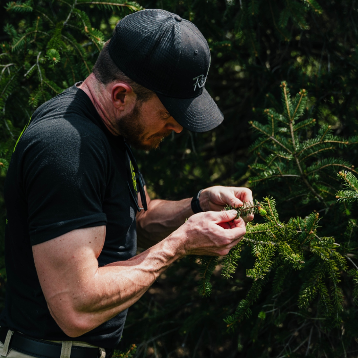 Tree Care West Chester