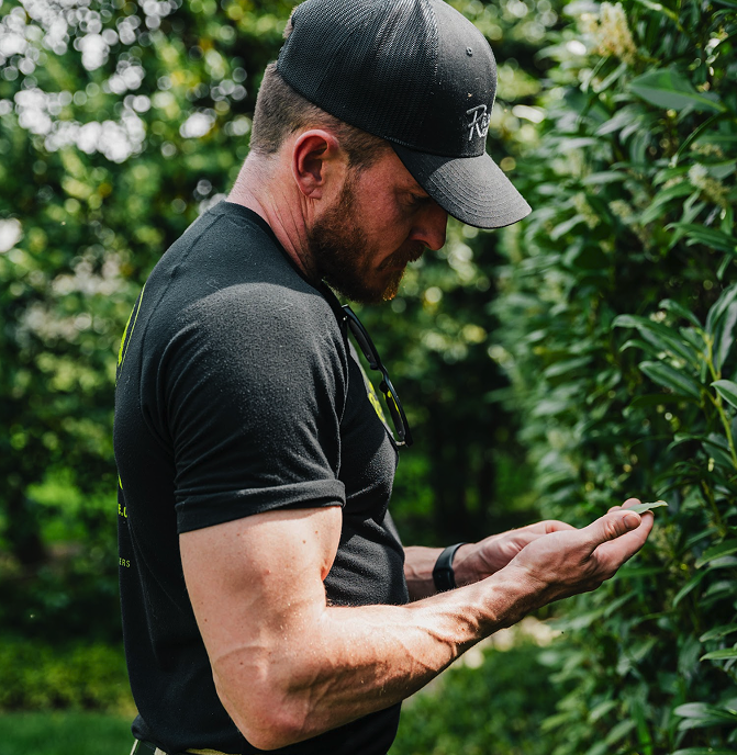Tree Disease Specialists