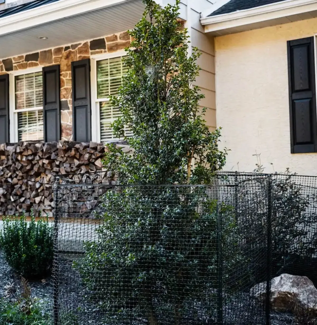 Deer Repellent Service Near Me Deer Repellent Service Near Me