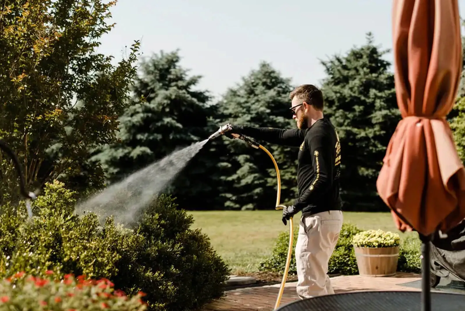 Deer Repellent Service Near Me Deer Repellent Service Near Me