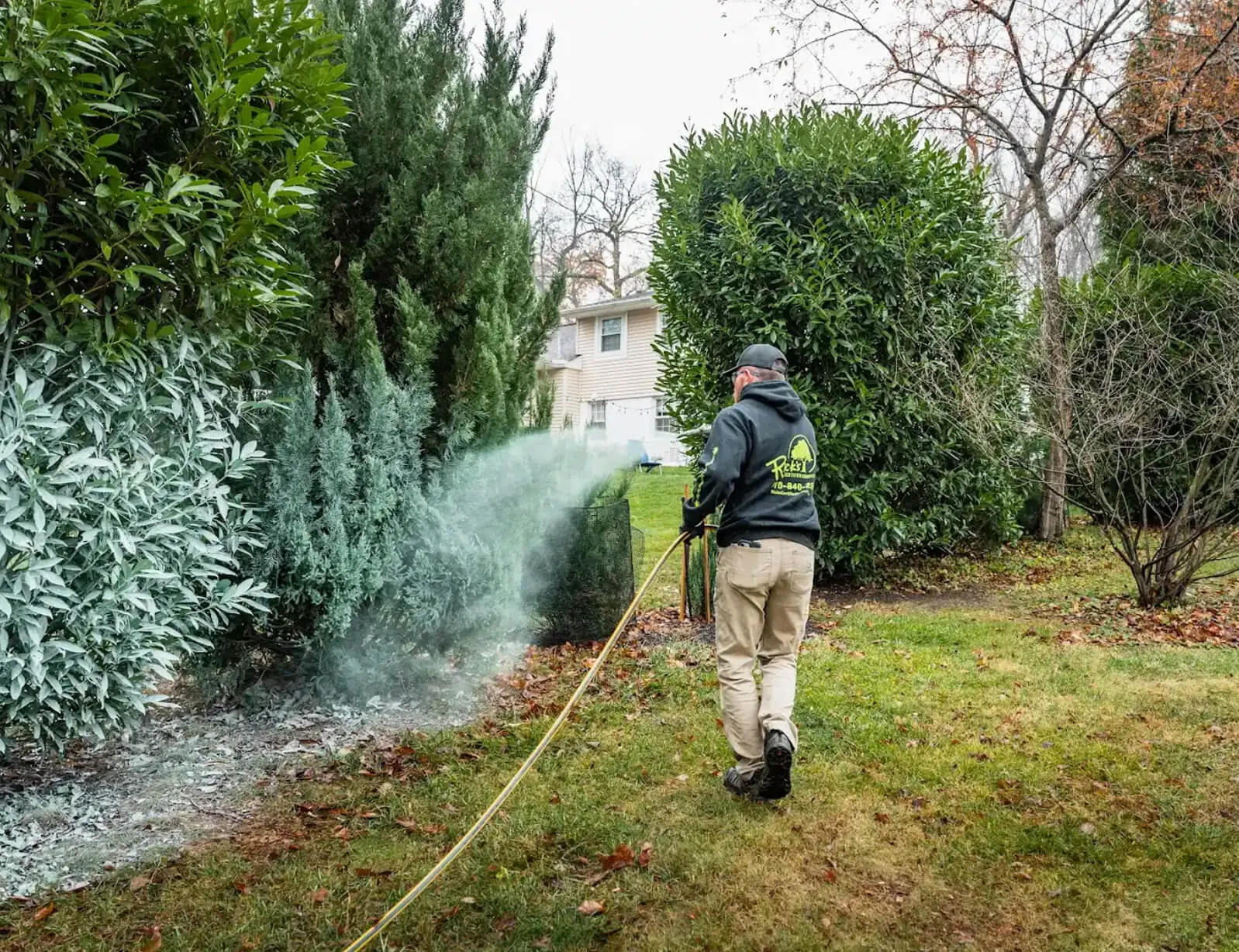 Deer Repellent Service Deer Repellent Service