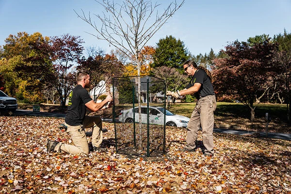 Deer Repellent Spray For Trees Deer Repellent Spray For Trees