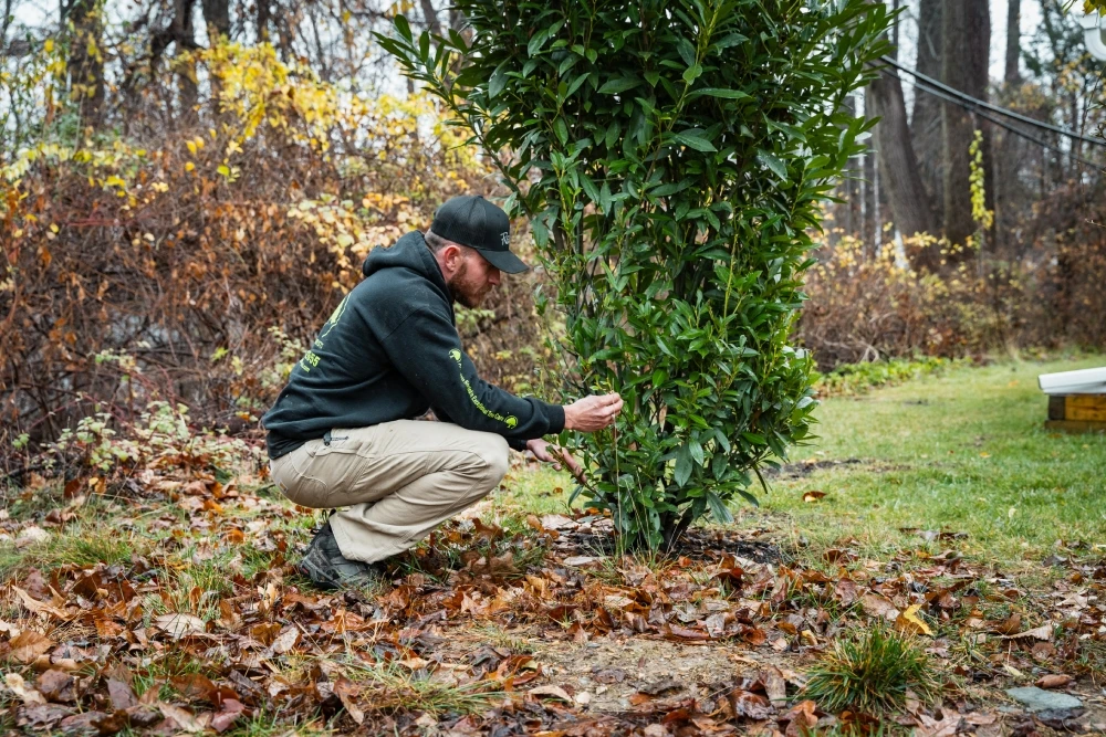 Deer Spraying Companies Deer Spraying Companies