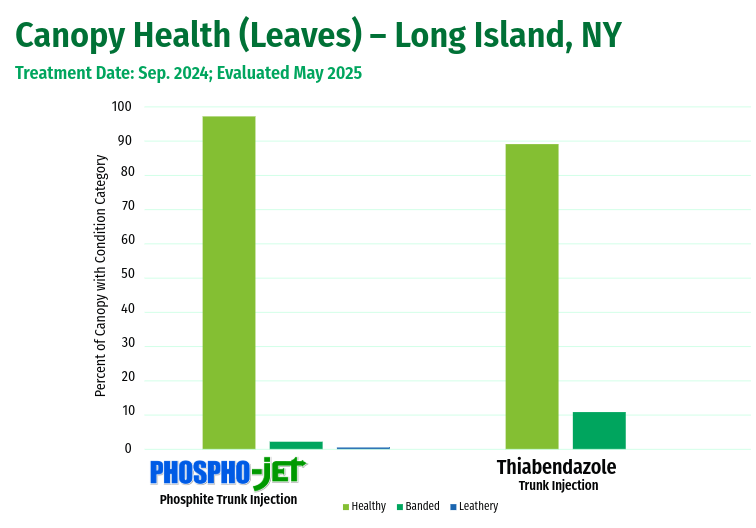 Recent Advances in Beech Leaf Disease Treatment