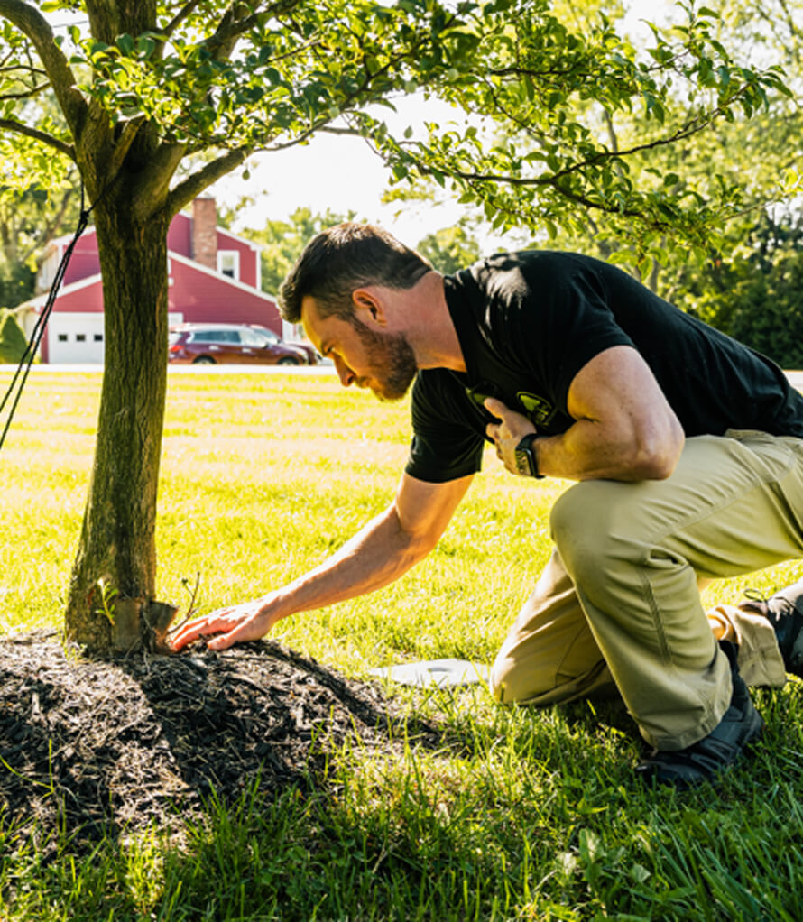 Certified Arborists in Boyertown PA Certified Arborists in Boyertown PA