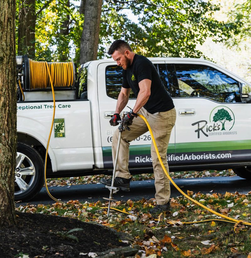 Certified Arborists in Boyertown PA Certified Arborists in Boyertown PA