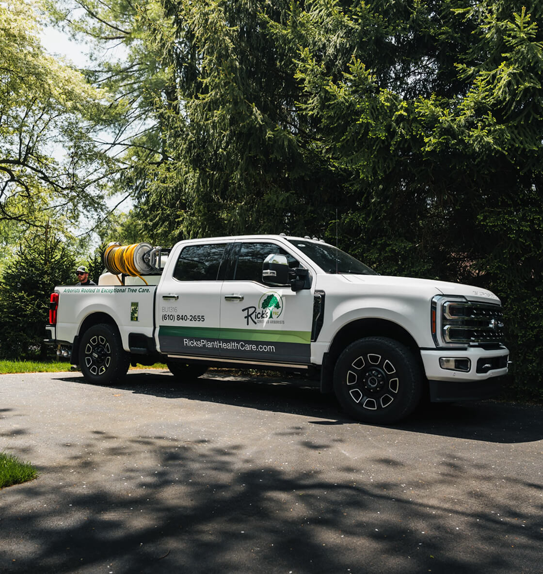 Tree Care Services in Boyertown Tree Care Services in Boyertown