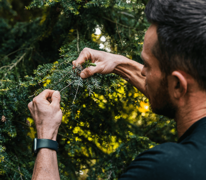 Rick’s Certified Arborists