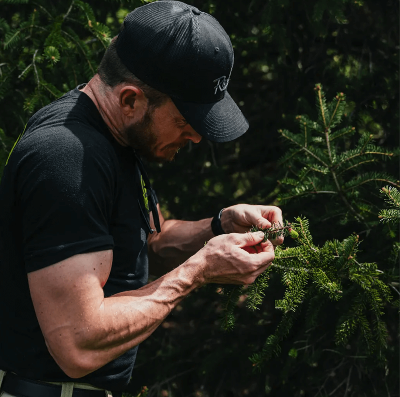 Tree Preservation Plans