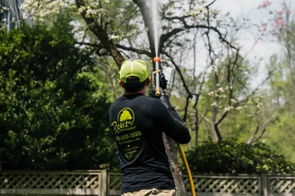 Fruit Tree Spraying Service