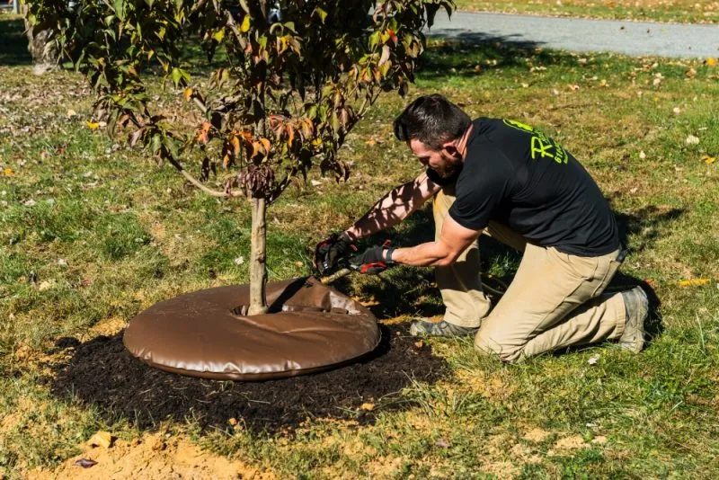 Local Certified Arborist
