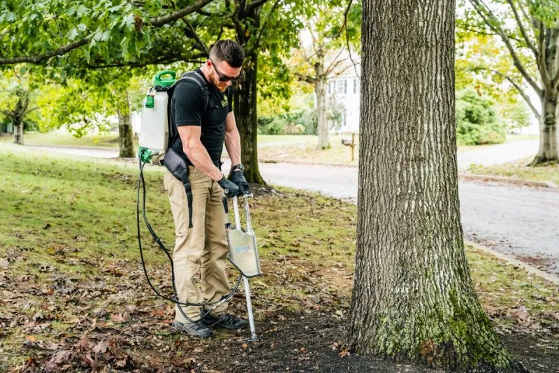Tree Doctor