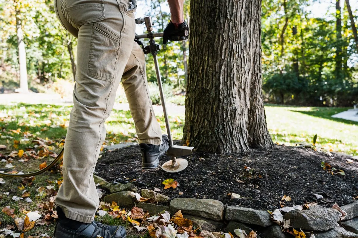 Tree Fertilization Services Near Me