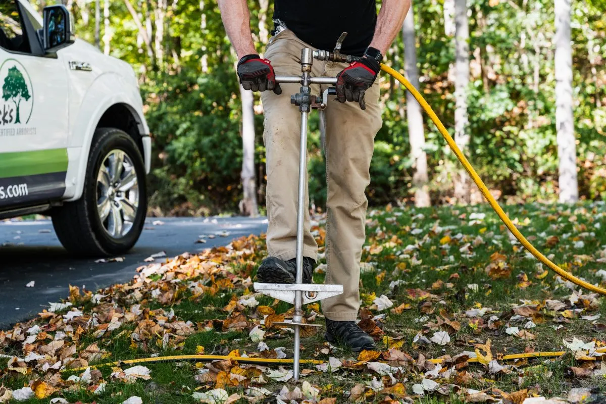 Tree Injection Services