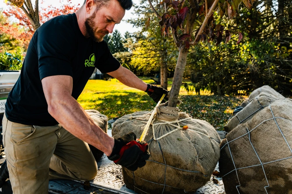 Tree Planting Specialists