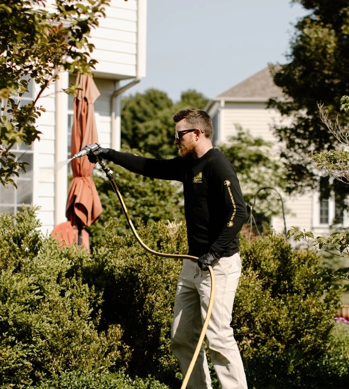 Tree Spraying Companies