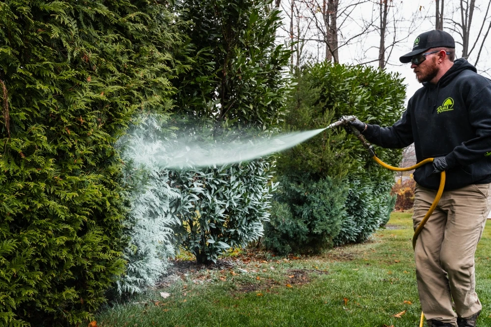 Tree Spraying Service
