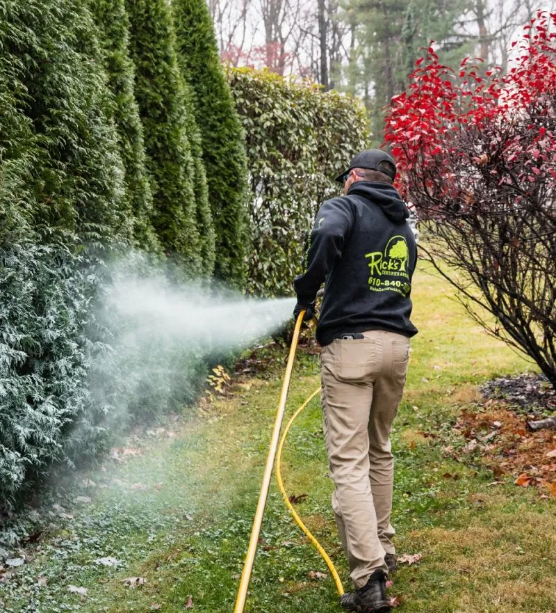 Tree Spraying Service