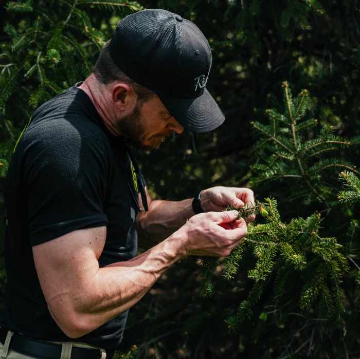 Arborist West Chester PA Arborist West Chester PA
