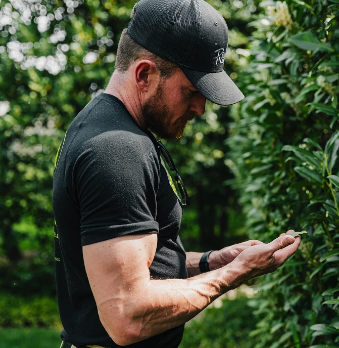 Tree Disease Specialists Tree Disease Specialists